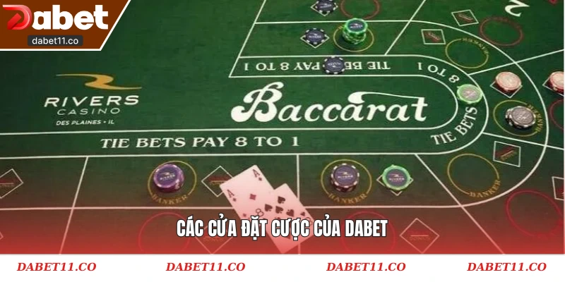 Các cửa đặt cược của Dabet
